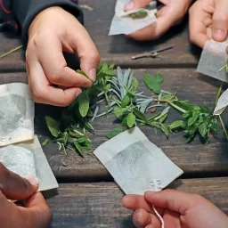 Sur une table, il ya plusieurs plantes aromatiques et des sachets tisane entourés de mains d'enfants