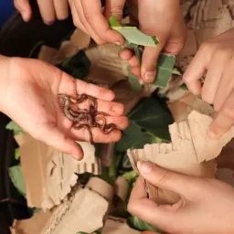 Plusieurs mains d'enfants autour d'un vermi composteur. Certains tiennent des feuilles, d'autres du carton et dans une main il y a des vers de terre