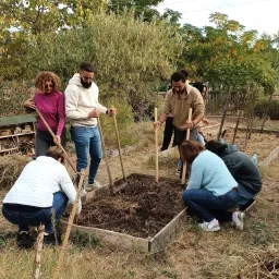6 personnes preparent le sol avec des outils de jardin
